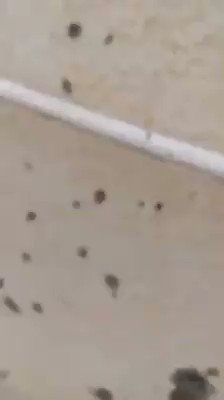 Libya- Video veröffentlicht auf Soziale Medien mit ISIS Angriff auf Misrata Gericht Komplexes, schweres Geschützfeuer vor und nach der Explosion im Gebäude