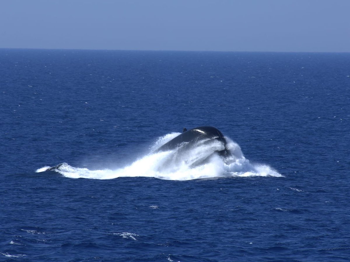 Italian and Turkish submarines have conducted maritime trainings in the Mediterranean on 13 June 2020