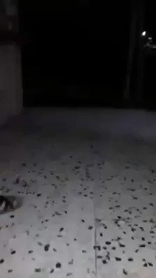 Albrega Alsaiqa brigade LNA attacked the police station of Al Brega, Alsaiqa brigade wants to release prisoners that were detained today by the police , they were caught selling drugs