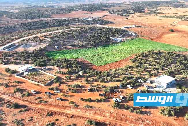 Counterterrorism Division: 5 tons of hashish seized during a raid in the Tacnis area (127 km east of Benghazi)